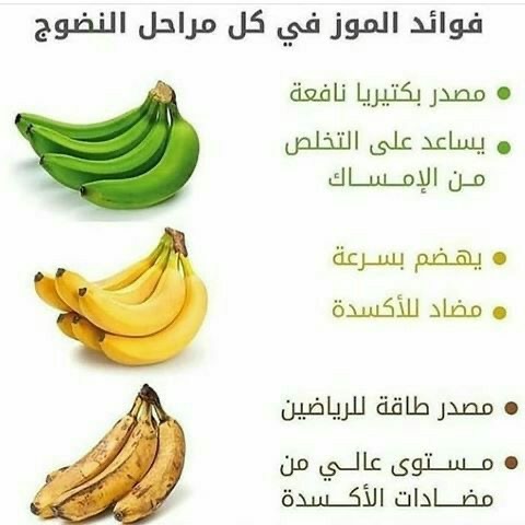 تربيه بدنيه